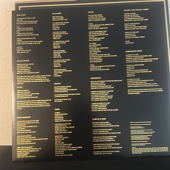 Jungle Vinyl Record with Gold Accents - Picture 4 of 7